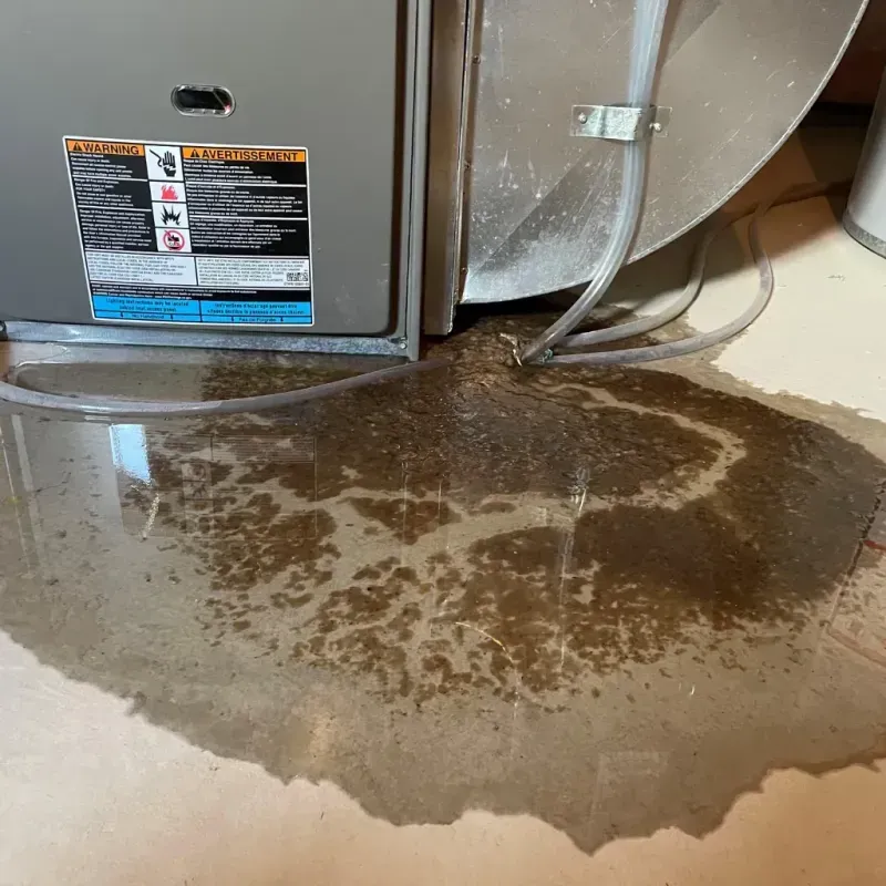 Appliance Leak Cleanup in Yreka, CA